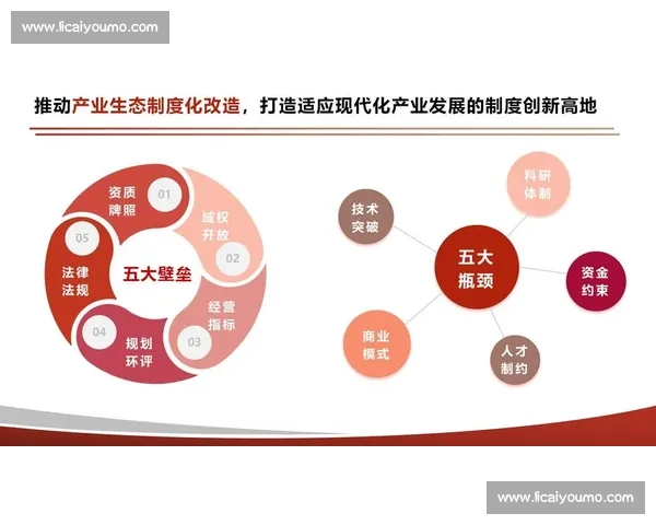 以追平为目标推动发展差距缩小与协同进步的新路径探索实践与思考